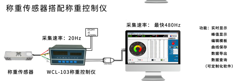 301L称重电脑端显示_03 301L称重电脑端显示_03