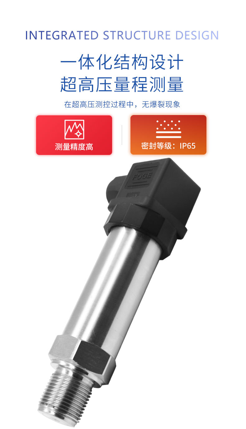 PTL702超高压变送器_04 PTL702超高压变送器_04